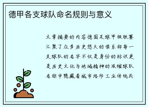 德甲各支球队命名规则与意义